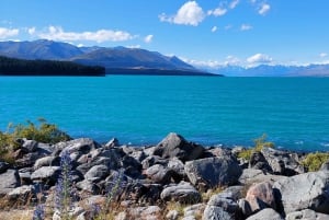 5 Day South Island NZ Tour from Dunedin to Christchurch