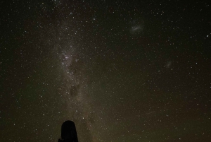 5-tägige Tour durch die Südinsel Neuseelands von Dunedin nach Christchurch