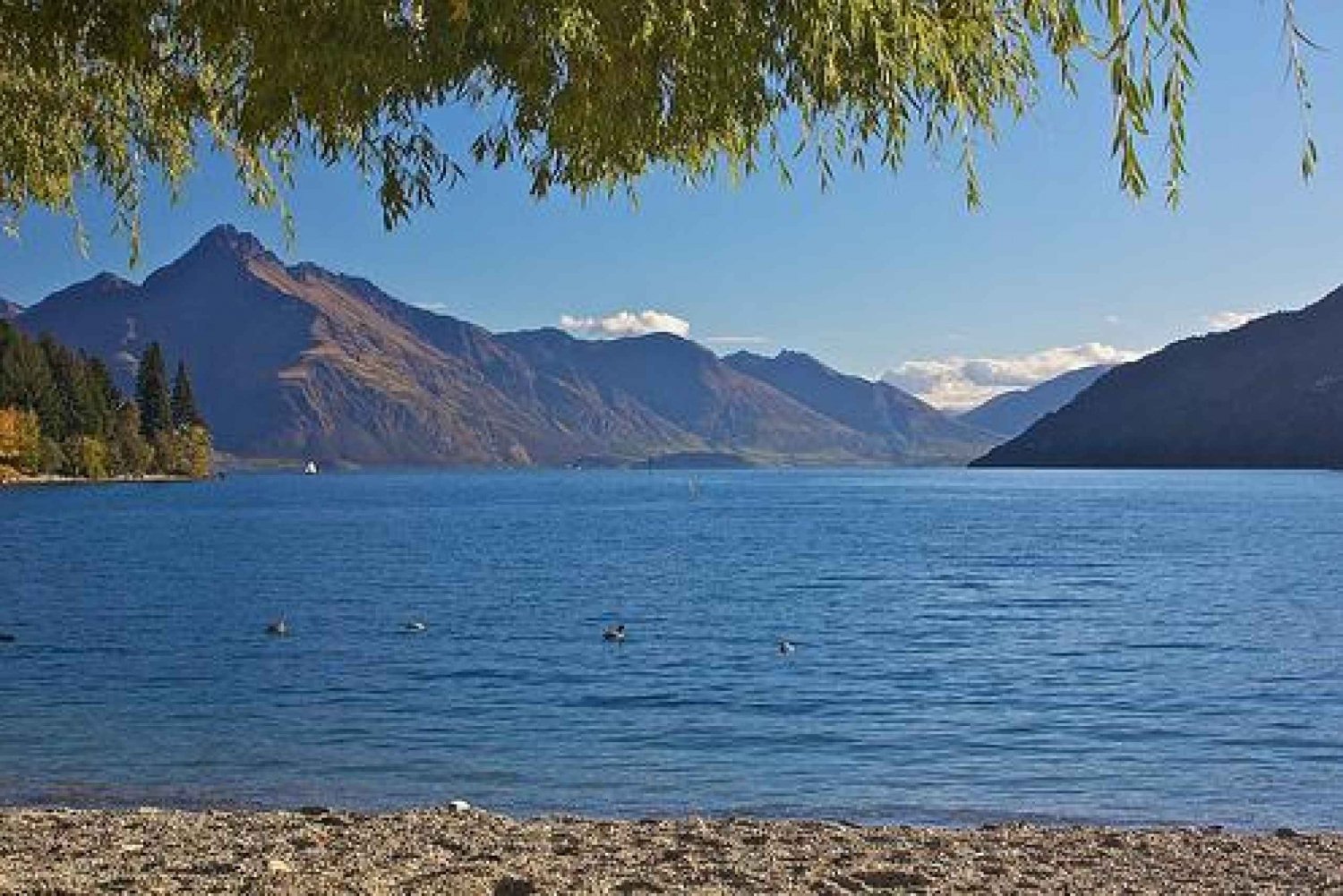 8Hour OneWay Coach Tour between Queenstown and Franz Josef in Queenstown