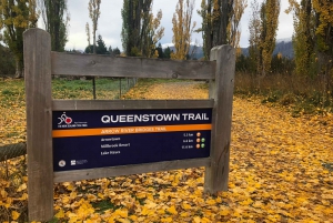 Arrowtown To Gibbston Valley: Self-Guided Bike Ride