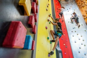 Basecamp Adventures - Queenstown