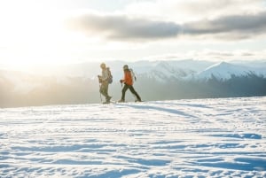 Basecamp Adventures - Queenstown
