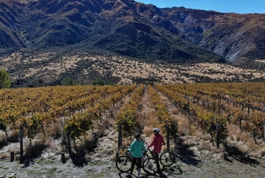 From Queenstown: Self-Guided Wineries Bike Tour