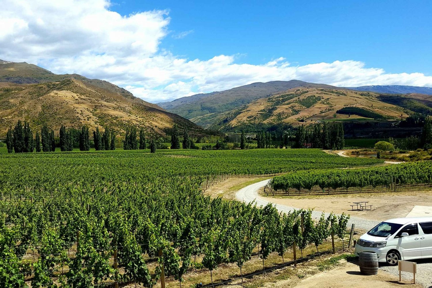 Boutique Wine Tour in Central Otago with Sommelier guide