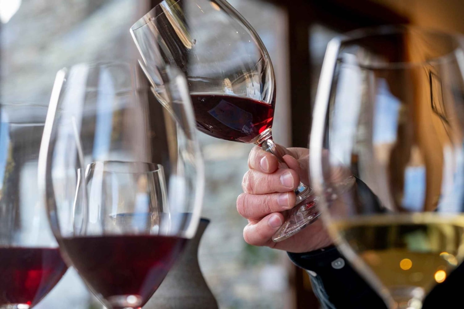 Central Otago Private Boutique Wine Tour från Queenstown