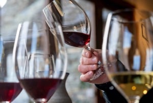 Excursão privada de vinhos boutique em Central Otago saindo de Queenstown