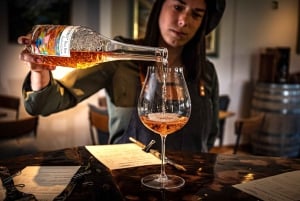 Excursão privada de vinhos boutique em Central Otago saindo de Queenstown