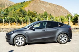 Excursão privada de vinhos boutique em Central Otago saindo de Queenstown