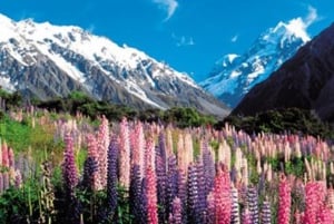 Christchurch to Queenstown Full-Day South Island Tour