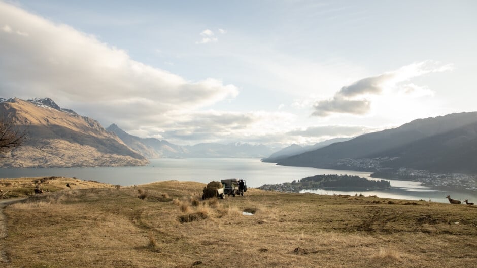 Best Things To Do with Kids in Queenstown