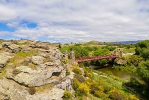 Dunedin to Queenstown Incl Train Small-Group Tour (One-Way)
