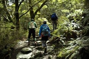 Eco Wanaka Guided Walks