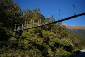 Eco Wanaka Guided Walks