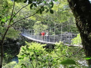 Eco Wanaka Guided Walks