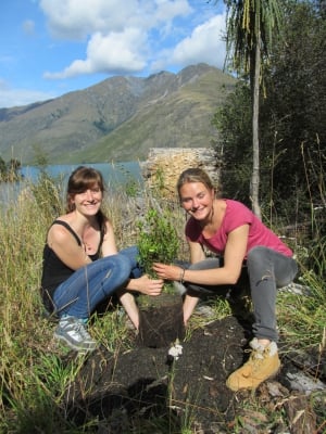 Eco Wanaka - Lake Cruise & Island Walk