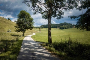 Geniet van Queenstown: privéwandeltour voor koppels