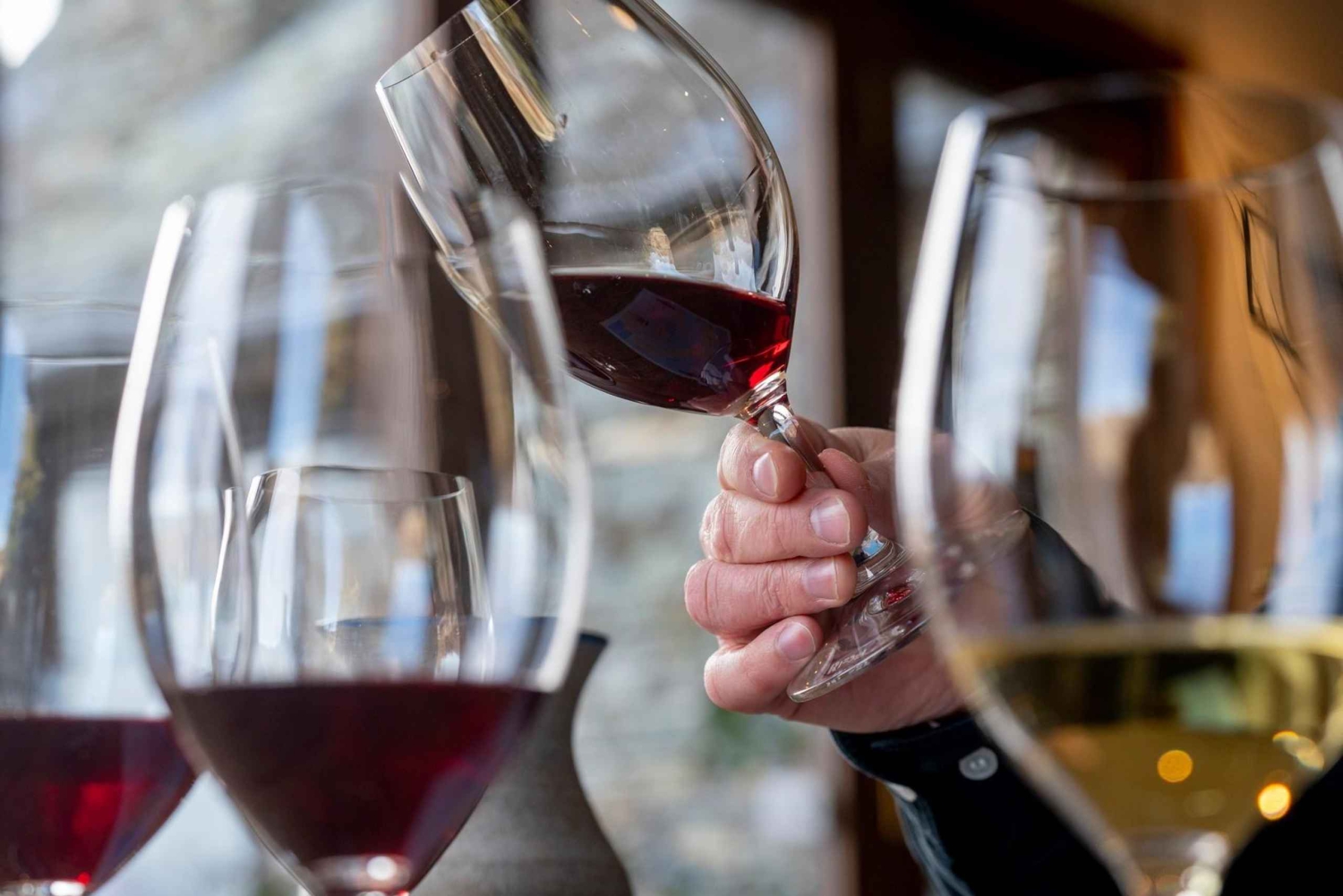 Esclusivo Tour del Vino Classico