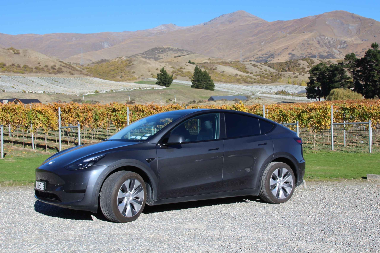 Esclusivo Tour del Vino Classico