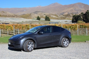 Esclusivo Tour del Vino Classico