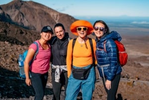 Fiordland & Milford Sound: 4-Day Hiking Adventure