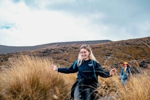 Fiordland & Milford Sound: 4-Day Hiking Adventure