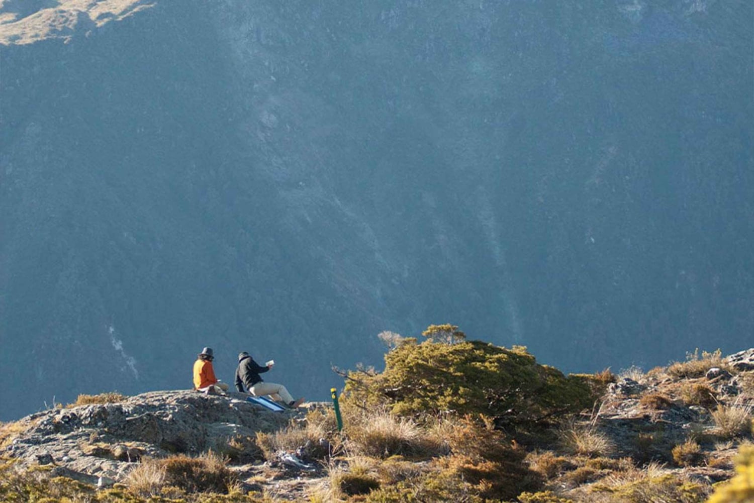 Fiordland : randonnée guidée d'une journée sur le sentier Routeburn Track et au Key Summit