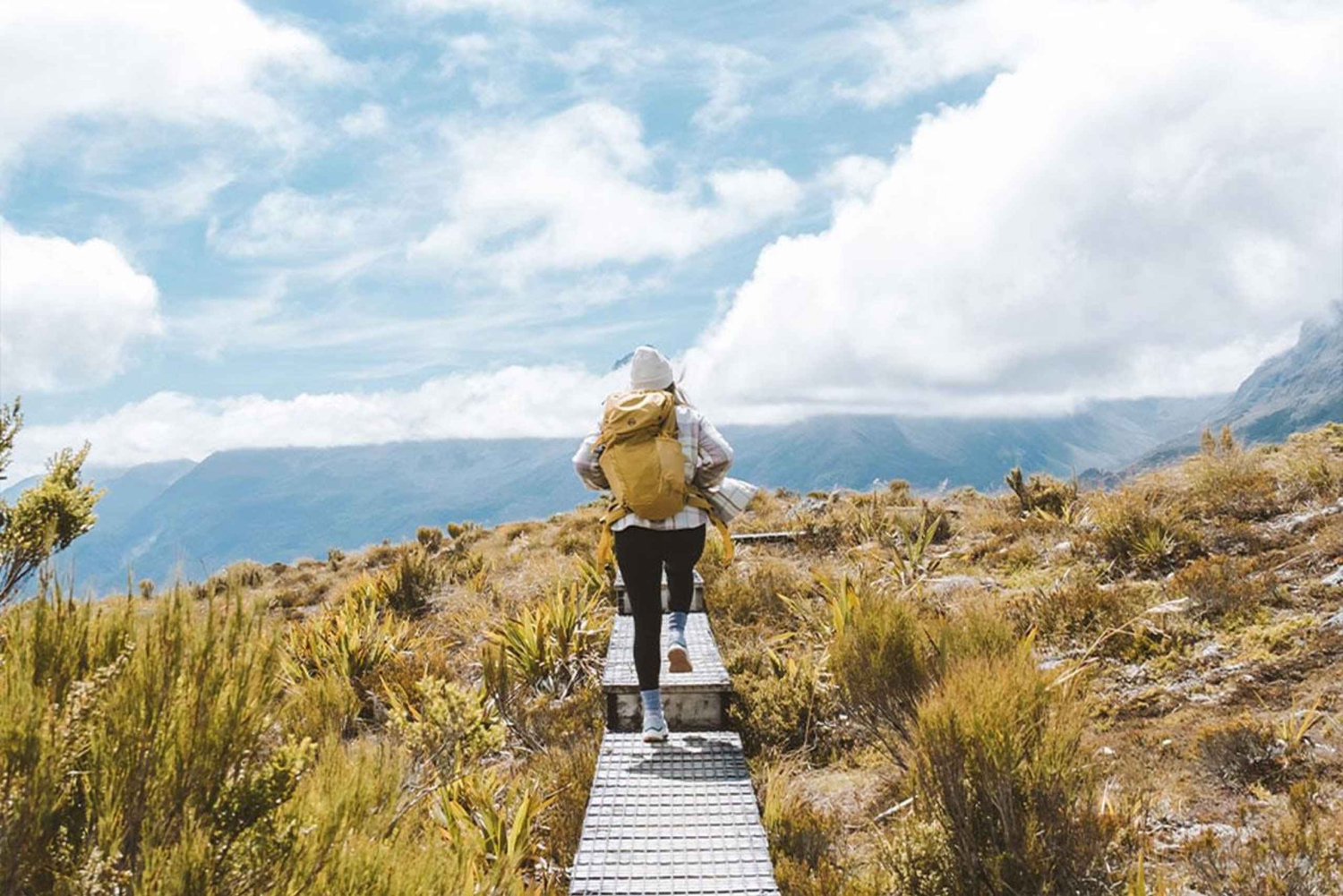 Fiordland : randonnée guidée d'une journée sur le sentier Routeburn Track et au Key Summit