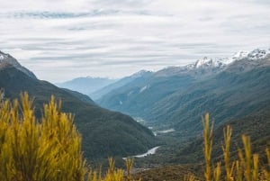 Fiordland: Routeburn Track and Key Summit Guided Day Walk