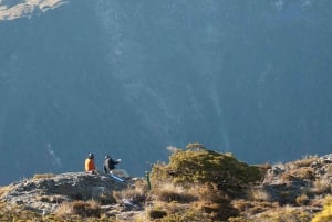Fiordland : randonnée guidée d'une journée sur le sentier Routeburn Track et au Key Summit