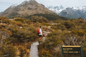 Fiordland : randonnée guidée d'une journée sur le sentier Routeburn Track et au Key Summit