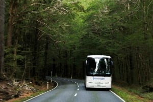 Franz Josef to Queenstown Day Tour