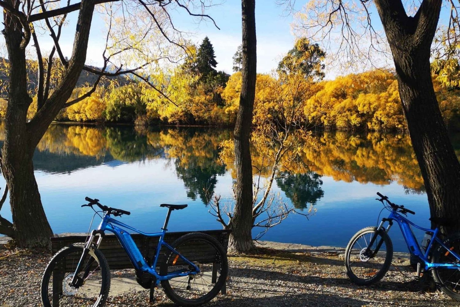 From Arrowtown: Scenic Valley of the Vines Bike & Wine Tour
