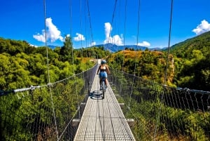 From Arrowtown: Scenic Valley of the Vines Bike & Wine Tour