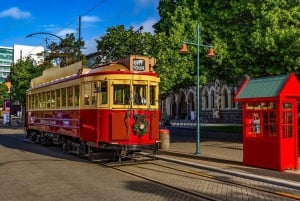 From Christchurch: 1 Way Tour to Queenstown via Mt Cook