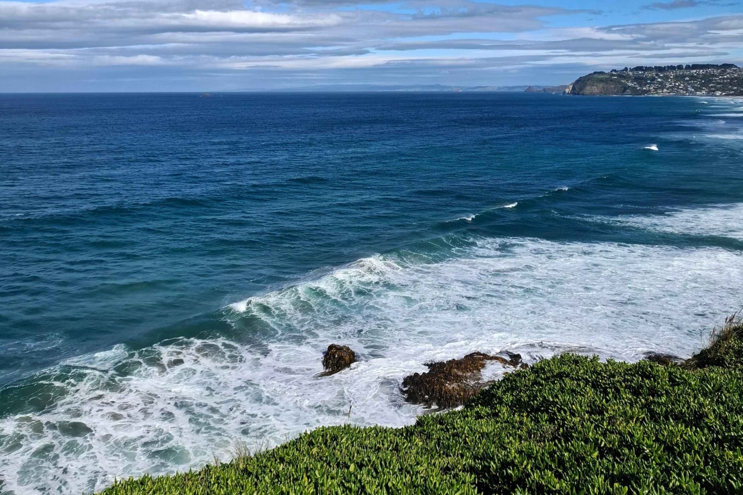 Z Dunedin: Mt. Cook i jezioro Pukaki – prywatna wycieczka jednodniowa