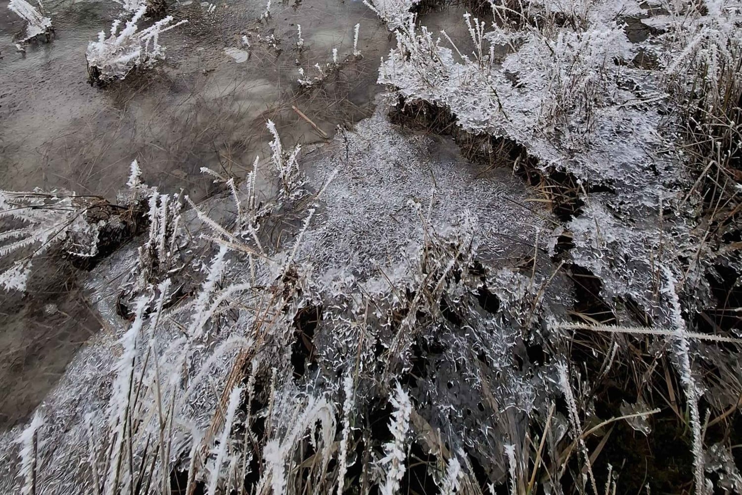Z Dunedin: Mt. Cook i jezioro Pukaki – prywatna wycieczka jednodniowa