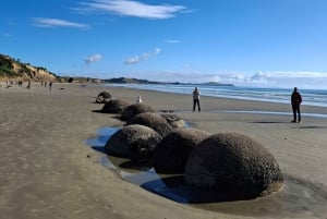 Z Dunedin: Mt. Cook i jezioro Pukaki – prywatna wycieczka jednodniowa