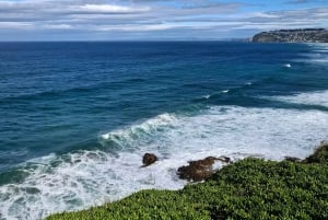 Z Dunedin: Mt. Cook i jezioro Pukaki – prywatna wycieczka jednodniowa