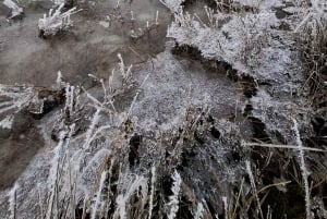 Z Dunedin: Mt. Cook i jezioro Pukaki – prywatna wycieczka jednodniowa