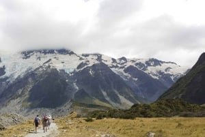 Z Dunedin: Mt. Cook i jezioro Pukaki – prywatna wycieczka jednodniowa