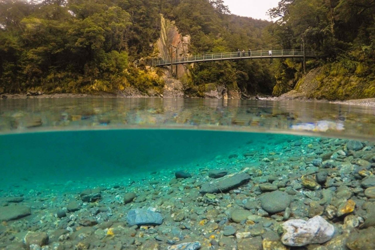 Franz Josef to Queenstown small group tour (One-Way)