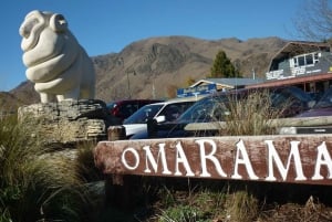 Queenstown: to Christchurch 1 Way Scenic Tour via Mt Cook