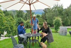 From Queenstown: 4-Hour Afternoon Boutique Wine Tour