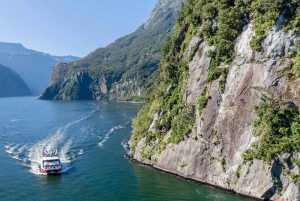 From Queenstown: Coach, Farm Tour & Milford Nature Cruise