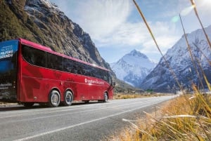 Desde Queenstown: autobús, tour por una granja y crucero por Milford
