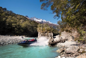 From Queenstown/Glenorchy: Dart River Jet Boat Tour