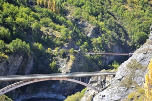 From Queenstown: Gold Panning Day-Trip with Morning Tea