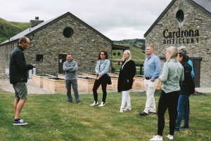 From Queenstown: Guided Gin Tour with Tastings