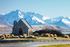 Fra Queenstown: Guidet halvdagstur til Mount Cook