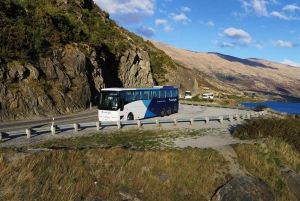 Fra Queenstown: Guidet halvdagstur til Mount Cook